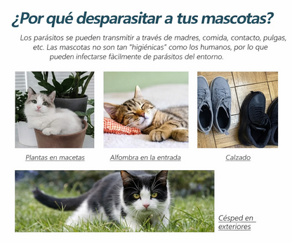 Agente Antipulgas y Garrapatas para Gatos y Perros – Spray de 50ml, Protección Rápida y Segura