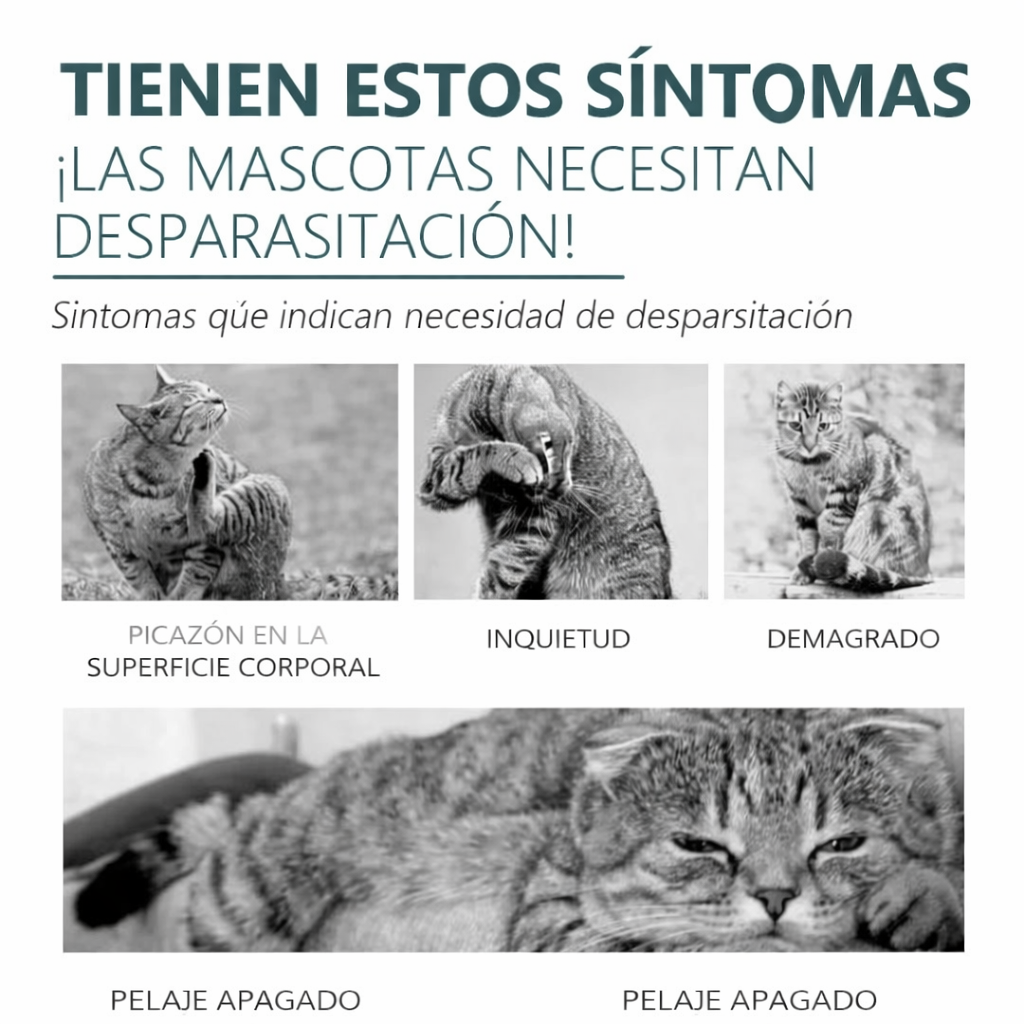 Agente Antipulgas y Garrapatas para Gatos y Perros – Spray de 50ml, Protección Rápida y Segura