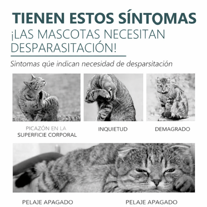 Agente Antipulgas y Garrapatas para Gatos y Perros – Spray de 50ml, Protección Rápida y Segura